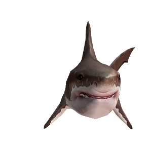 Baby Shark Npc World Of Warcraft