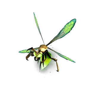 Beautiful Glowfly - NPC - World of Warcraft