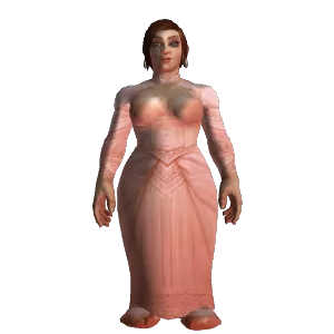elegant dress vendor wow Elegant Dress - Wowpedia