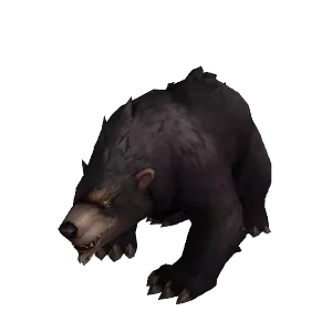 Bear - NPC - World of Warcraft