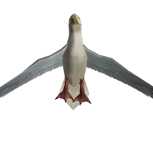 Seagull - NPC - World of Warcraft