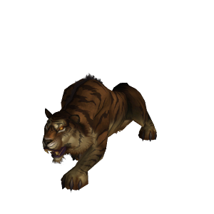 丛林虎 Npc 魔兽世界