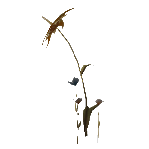 Push Daisy Spell World Of Warcraft