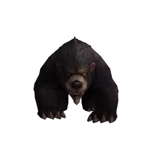 Bear - NPC - World of Warcraft