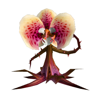 饥饿的食人花 Npc 魔兽世界