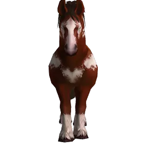 Perplexed Pony - NPC - World of Warcraft