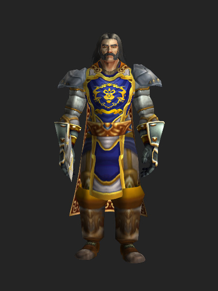 Uther Lightbringer Transmog