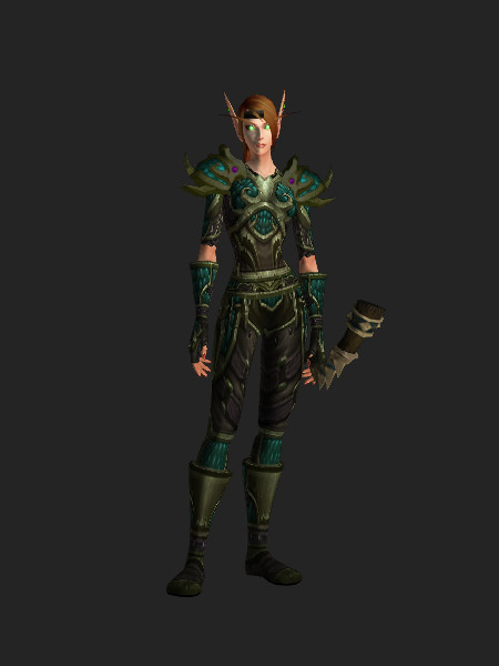 Chasseur Outfit World of Warcraft