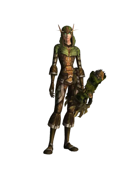 Hunter Ranger Transmog The Ranger (Hunter Transmog) Outfit World