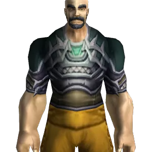 TBC Leather Chest Armor Item Appearances - TBC Classic