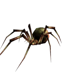 Spider - Hunter Pet - TBC Classic
