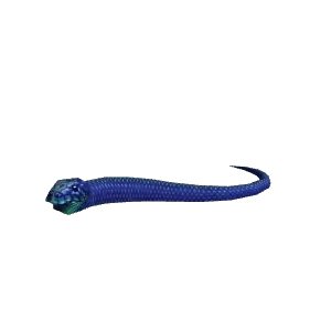 Blue Racer - NPC - TBC Classic