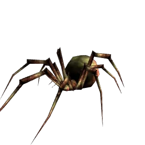 Spider - Hunter Pet - TBC Classic