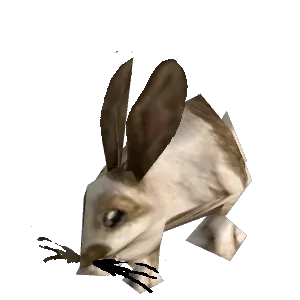 Spotted Rabbit - NPC - TBC Classic