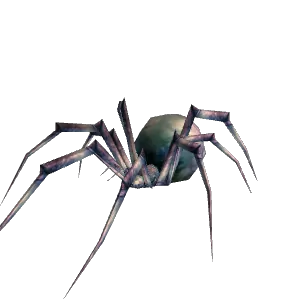Spider - Hunter Pet - TBC Classic