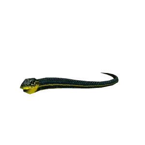 Green Water Snake - NPC - TBC Classic