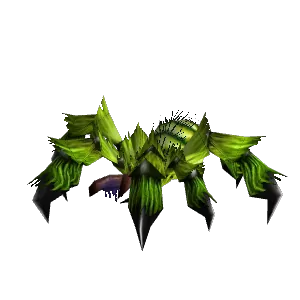 Spider - Hunter Pet - TBC Classic