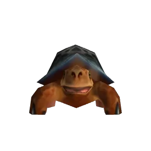 Polymorphed Turtle - NPC - TBC Classic