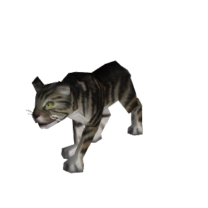 Black Tabby Npc Tbc Classic