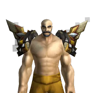 WotLK Plate Shoulder Armor Item Appearances - WotLK Classic