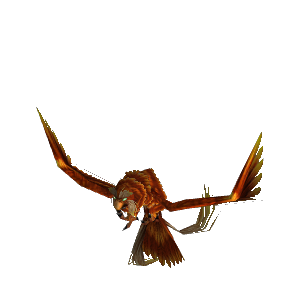 Epic Flight Form Wotlk