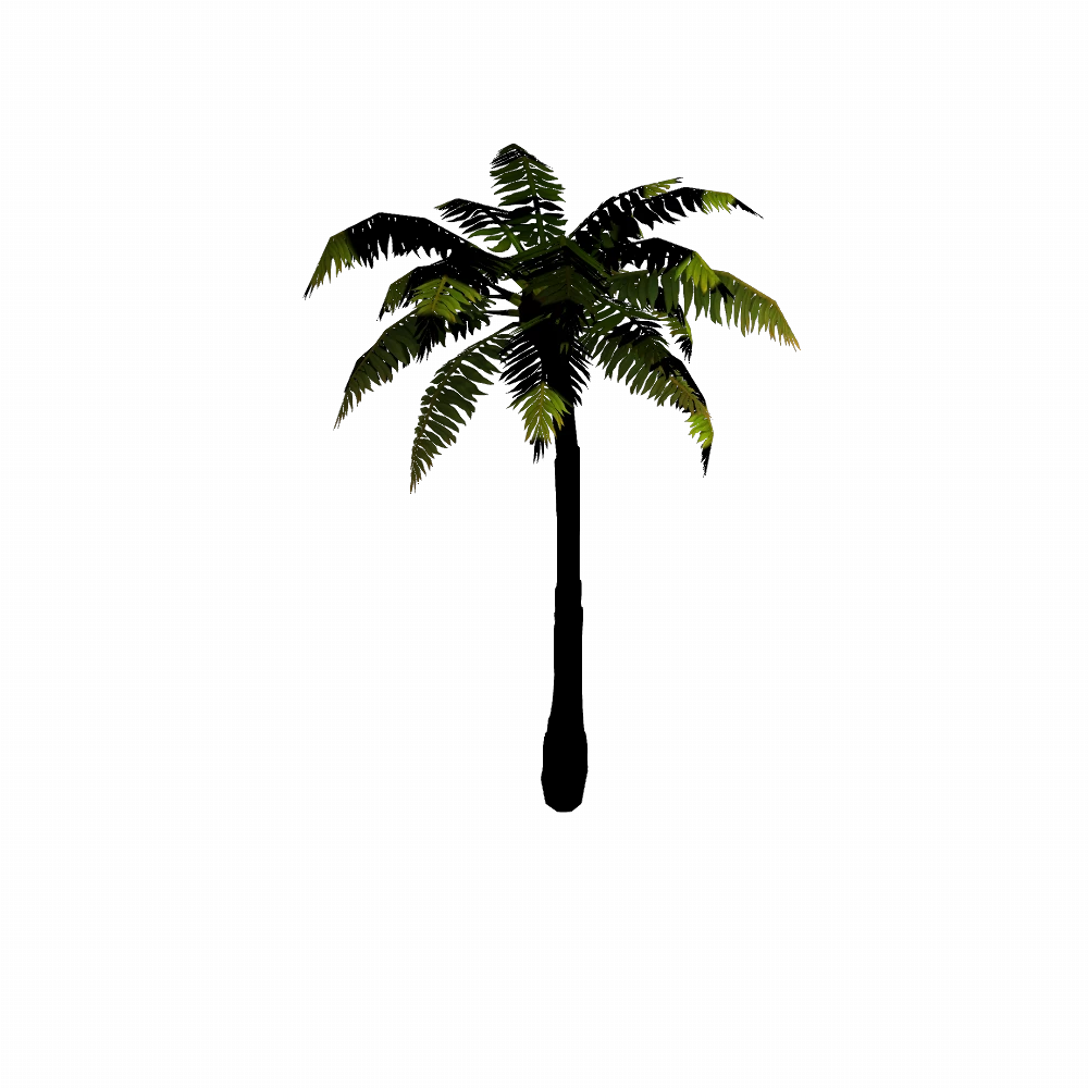 Razorwind Palm Tree