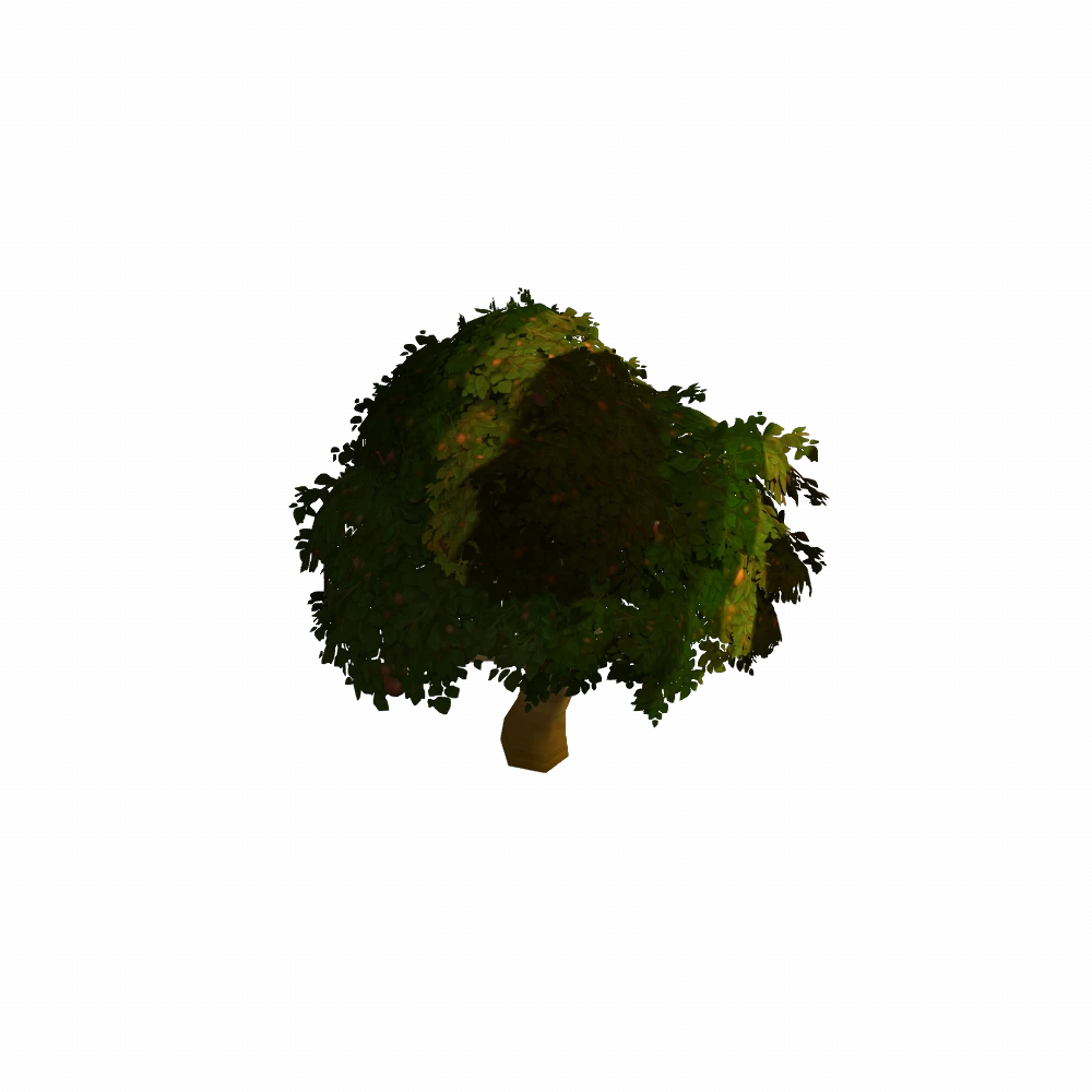 Elwynn Apple Tree