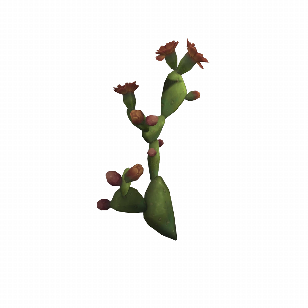 Flowering Durotar Cactus