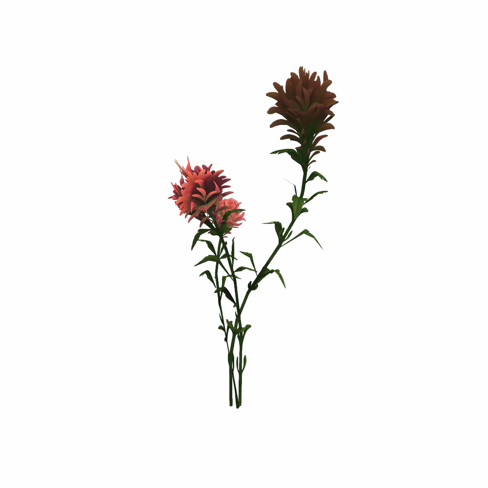 Pink Razorwind Paintbrush
