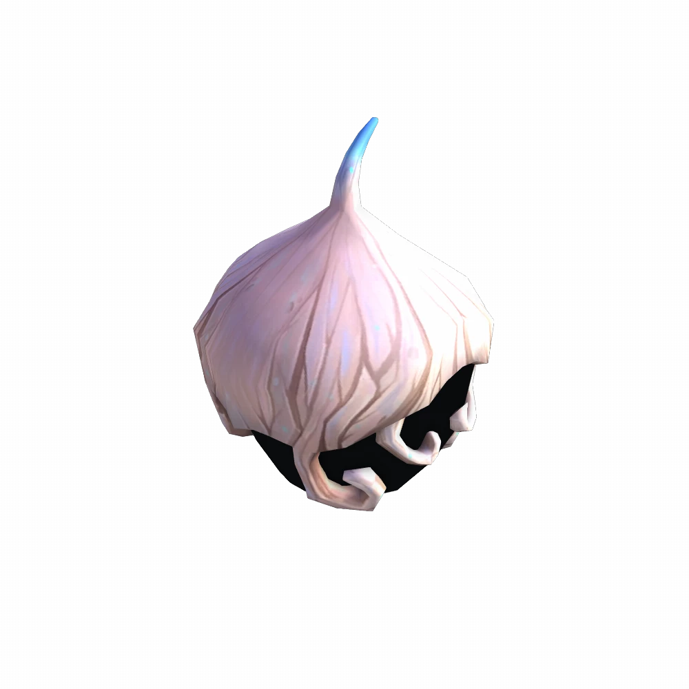 Veil-Secured Animacone