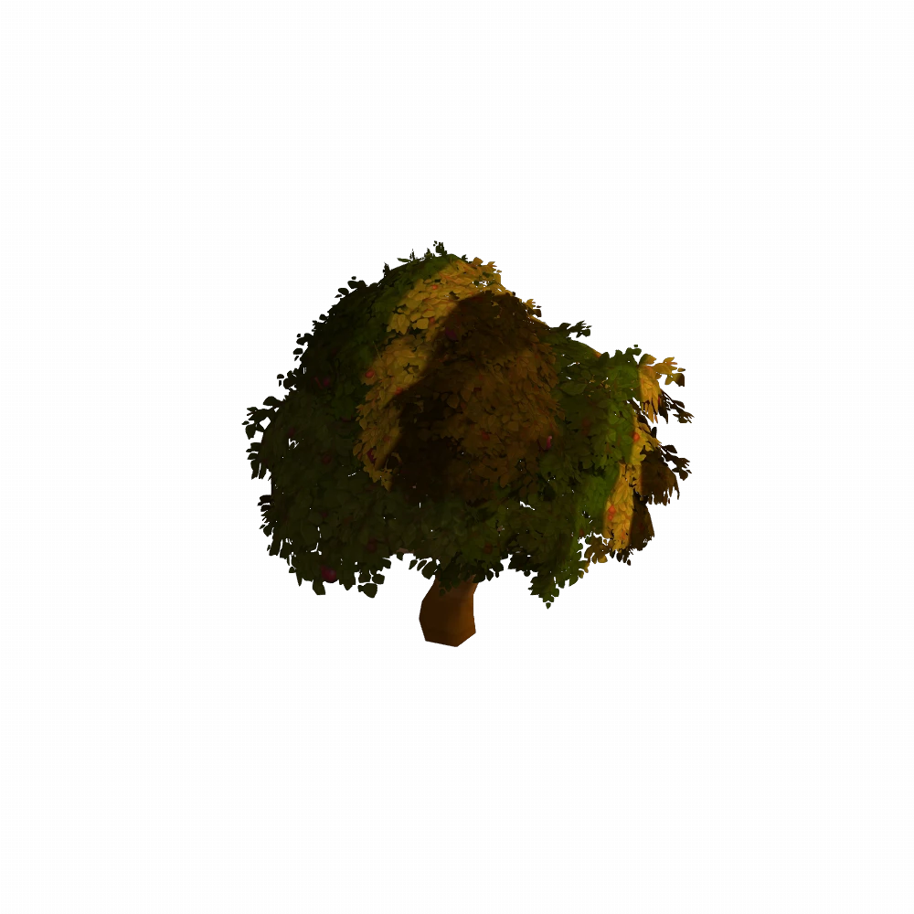 Elwynn Autumn Apple Tree
