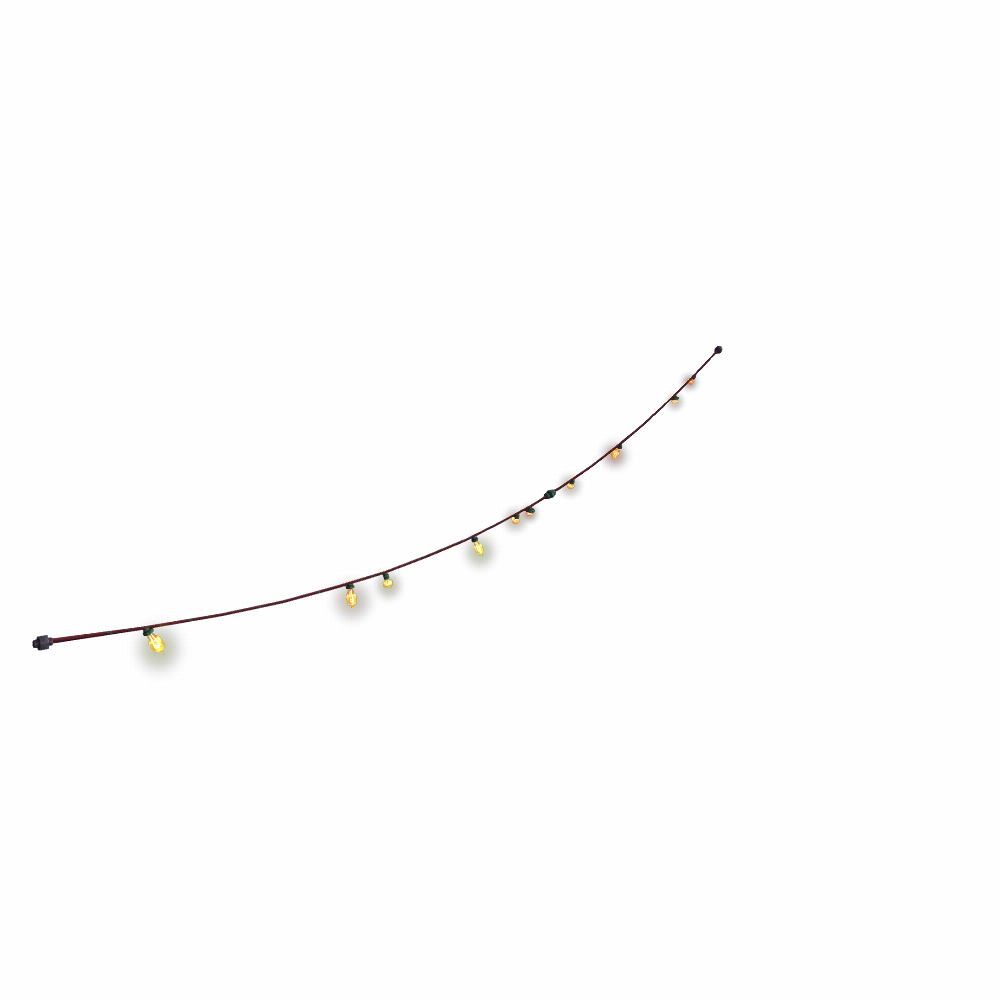 Long String of Schmancy Goblin Lights