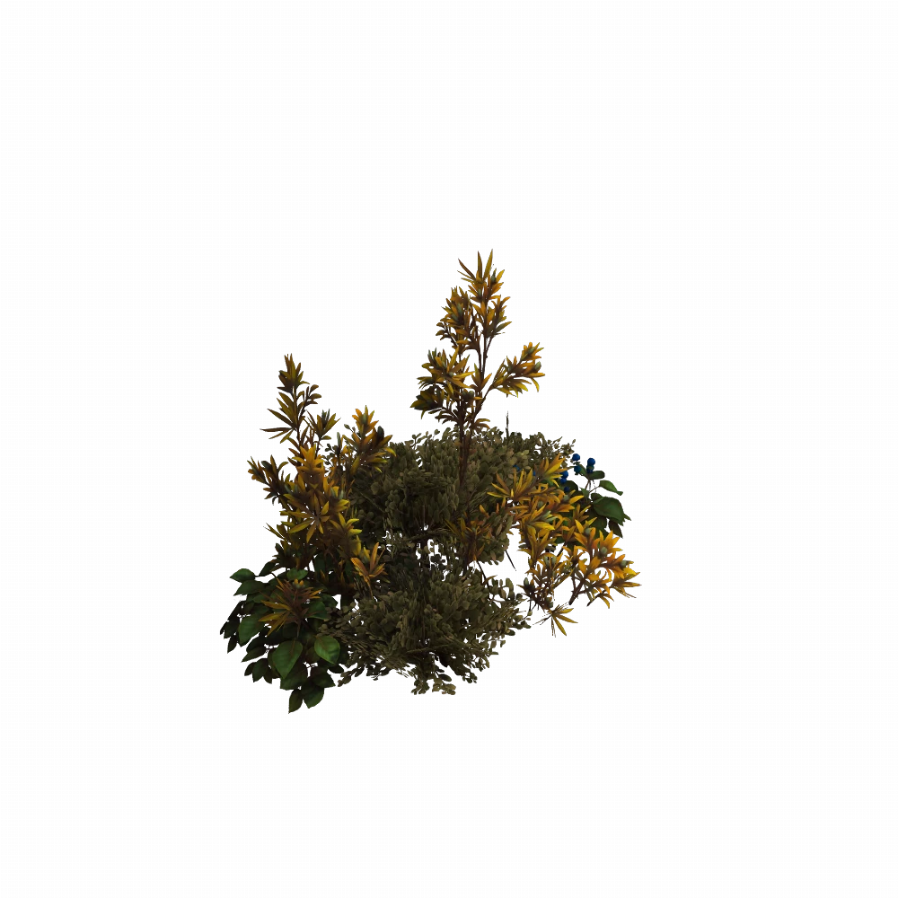 Cragthorn Highlands Large Garden Cluster