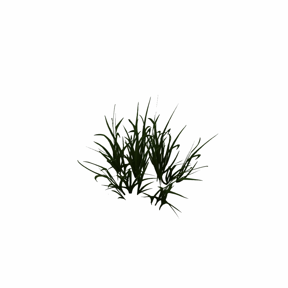 Elwynn Grass Patch