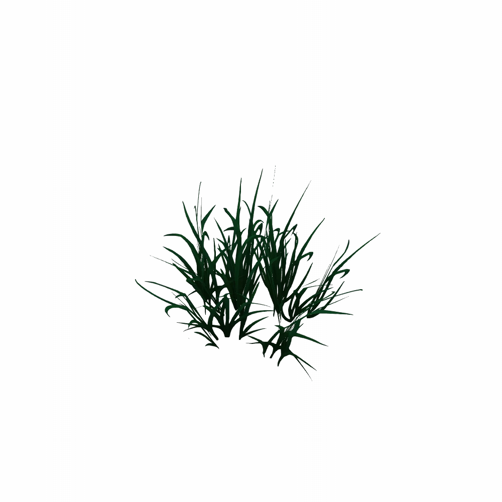 Brumewood Hollow Grassy Patch