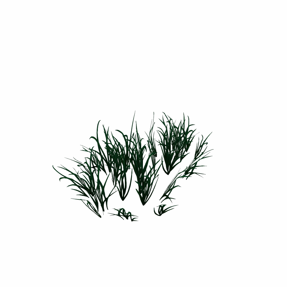 Brumewood Hollow Grassy Spread