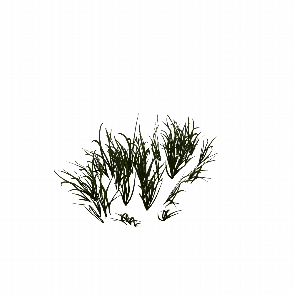 Founder's Point Grassy Spread