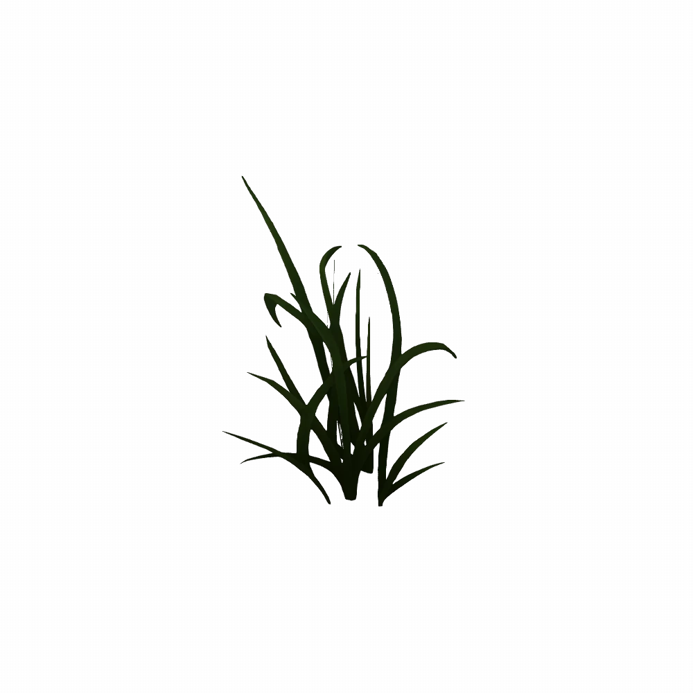 Elwynn Small Grass Patch