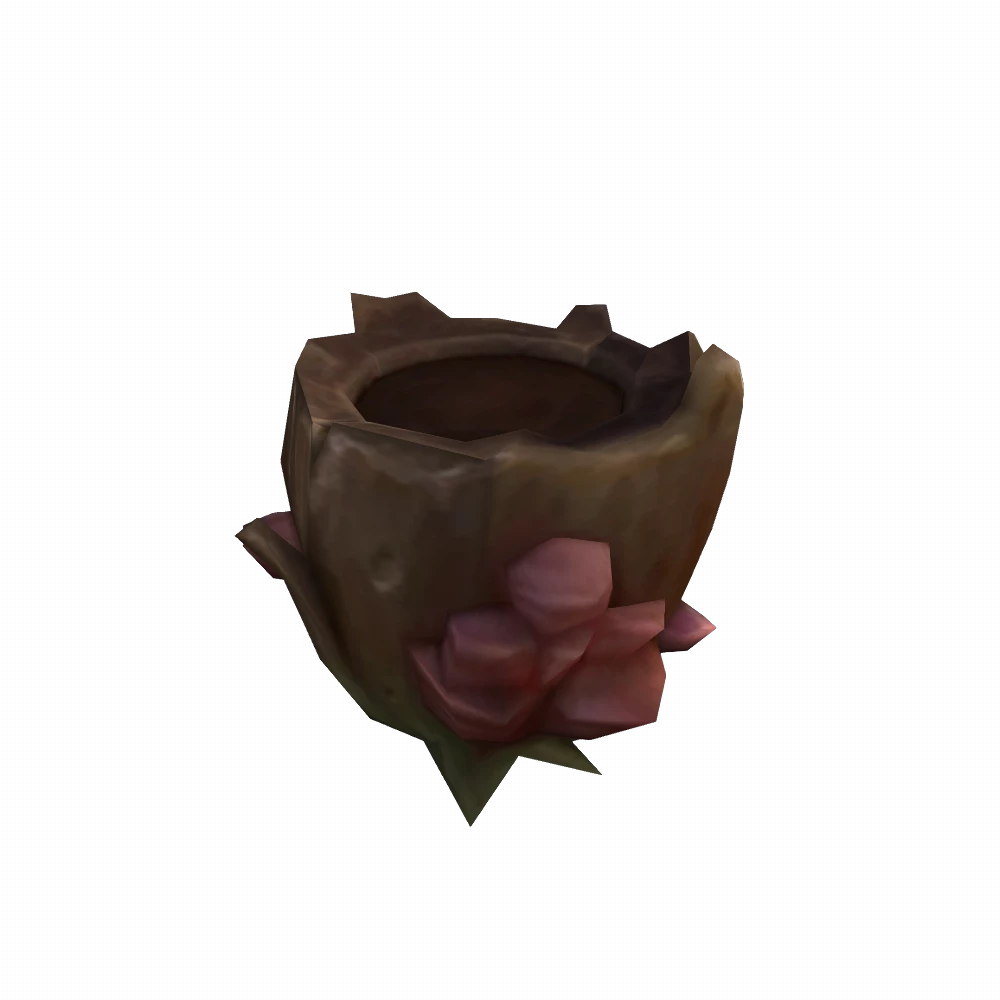 Opened Fungal Jar