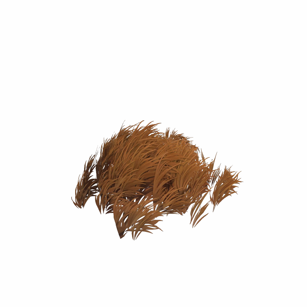Dry Razorwind Grass Patch