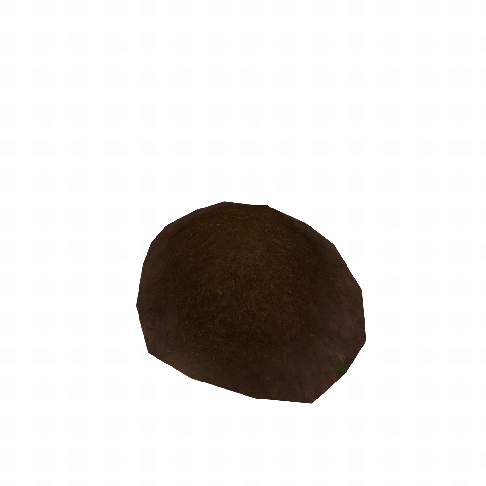 Loammy Soil
