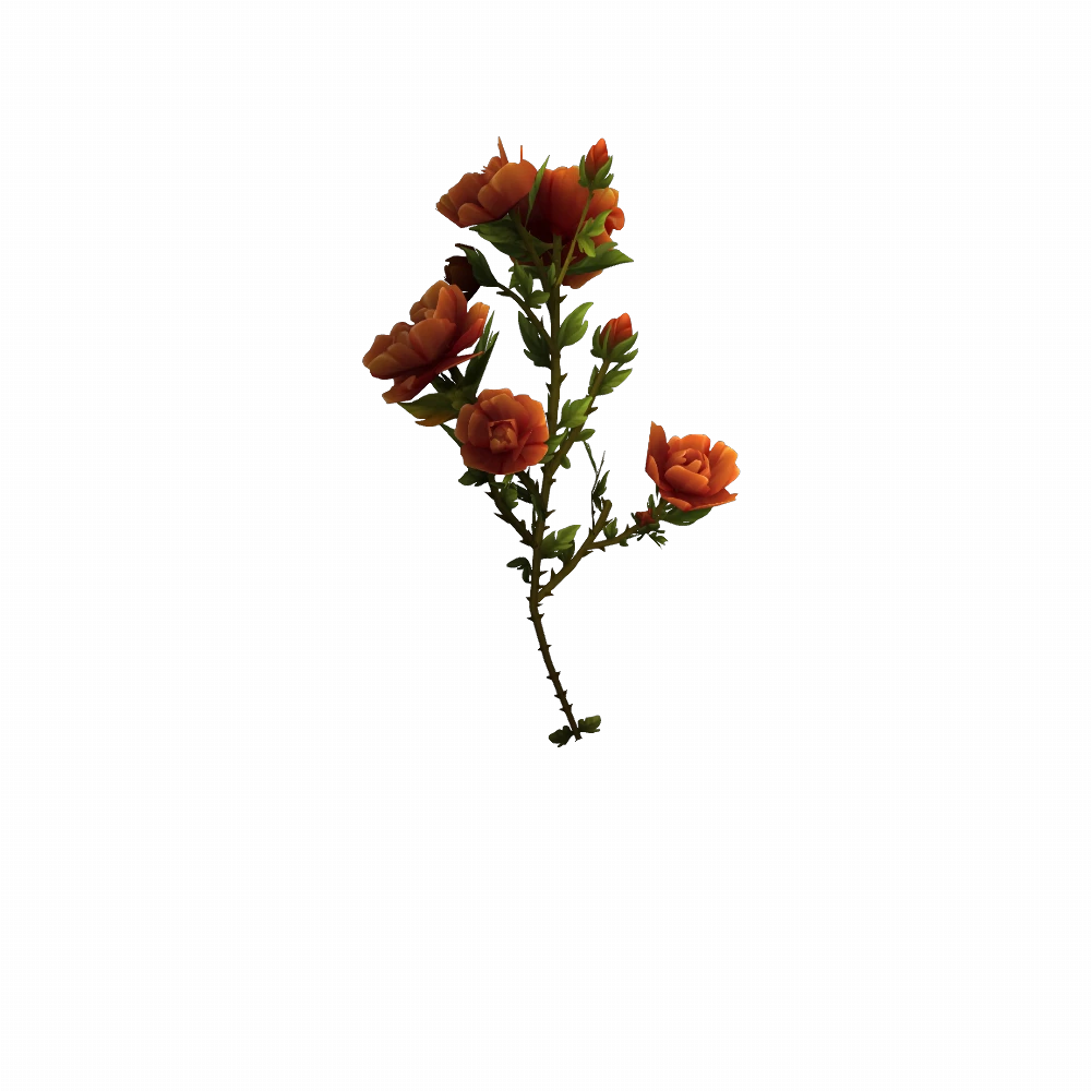 Gift of Gilneas