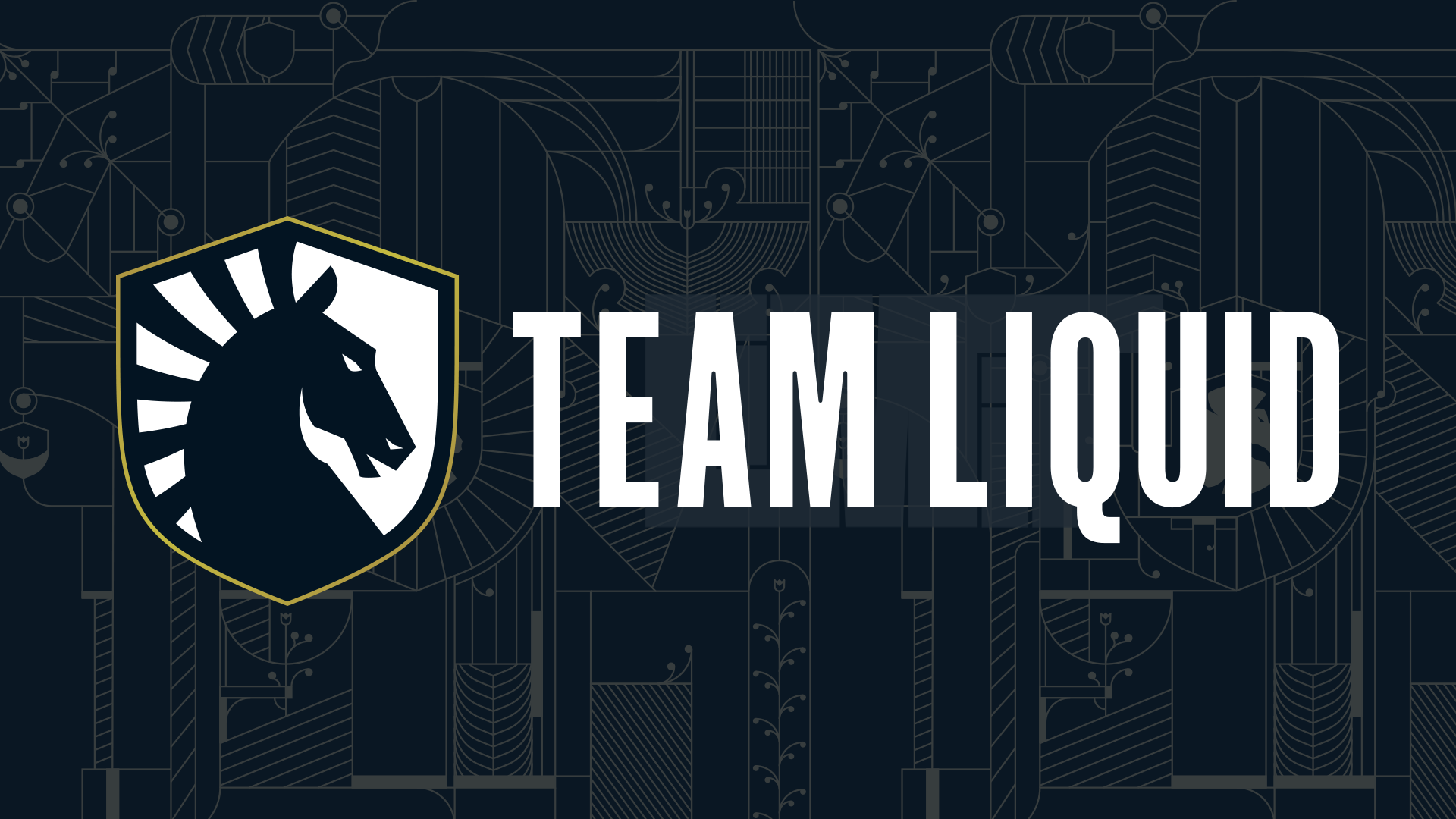 team-liquid-acquires-limit-introducing-liquid-mmo-wowhead-news