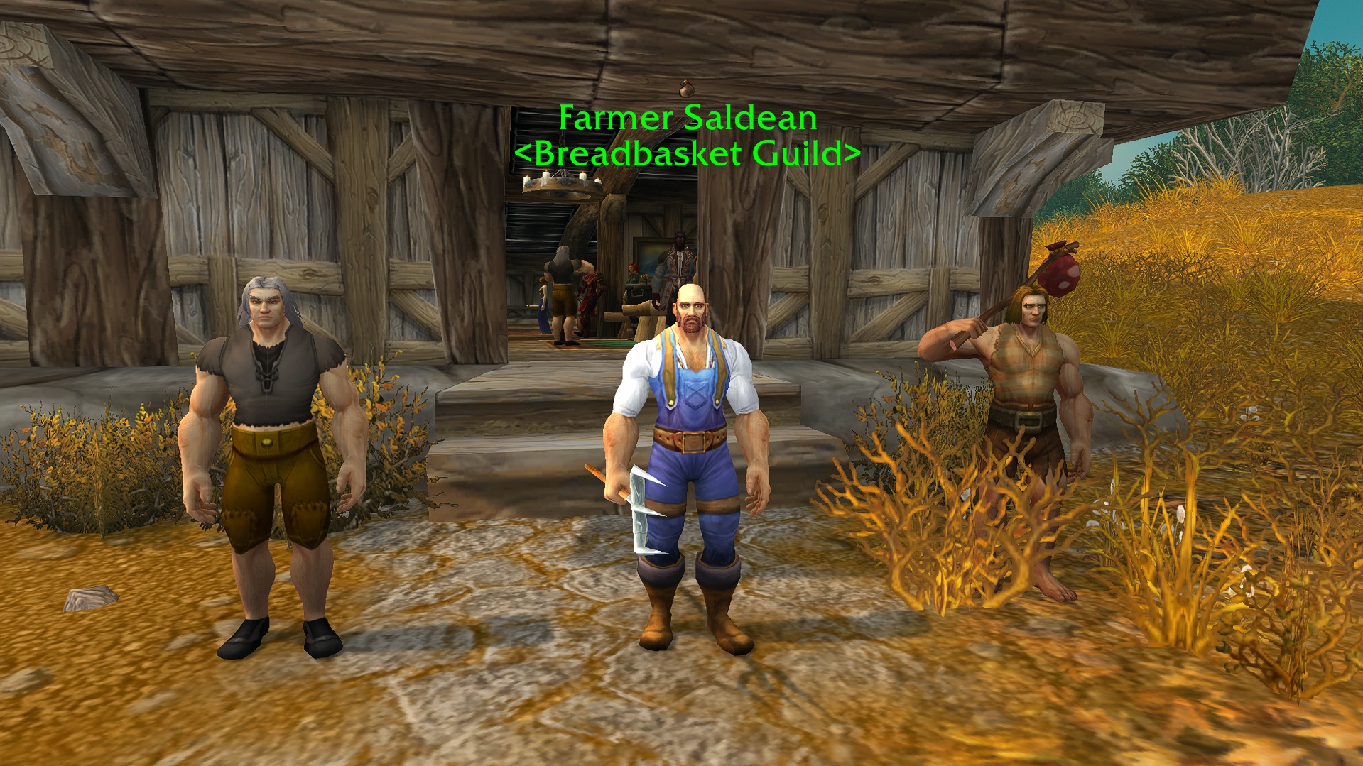 Human Heritage Questline Epilogue - Dawn of the Breadbasket Guild - Новости  Wowhead