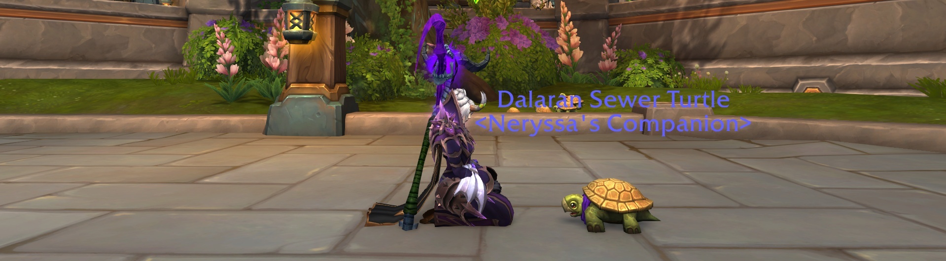 How To Obtain The Dalaran Sewer Turtle Battle Pet In The War Within ...