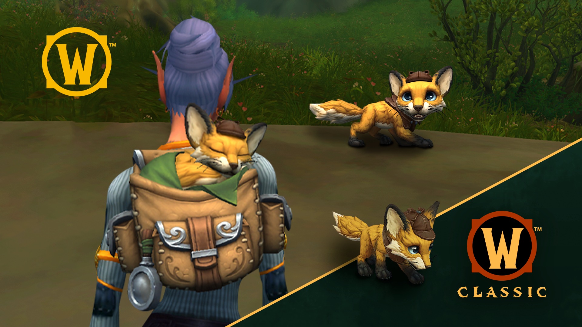 Support CureDuchenne with The Reven Pack - Adorable Fox Charity Pet ...