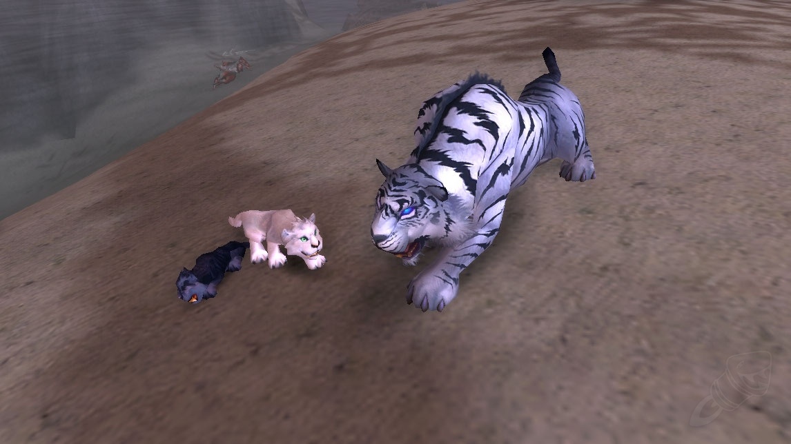 I'm a Crazy Cat Lady - Here's How You Can Become One Too!