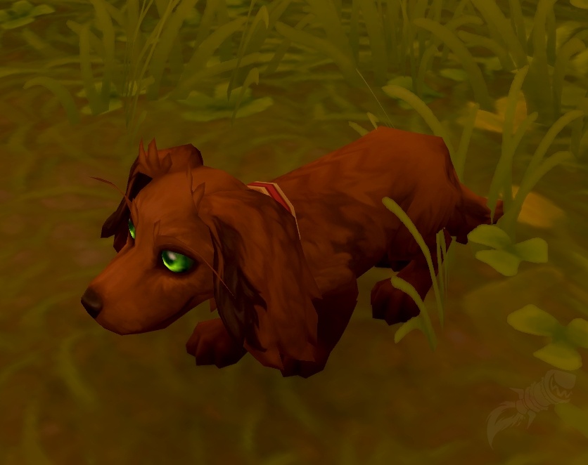 The Thieving Dachshund, Luma - New Companion Pet in Midnight