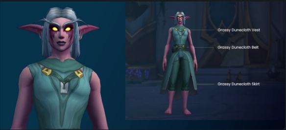 Get Grassy Dunecloth Transmog with Blizzard Gear Store Purchase