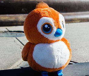 pepe soft toy